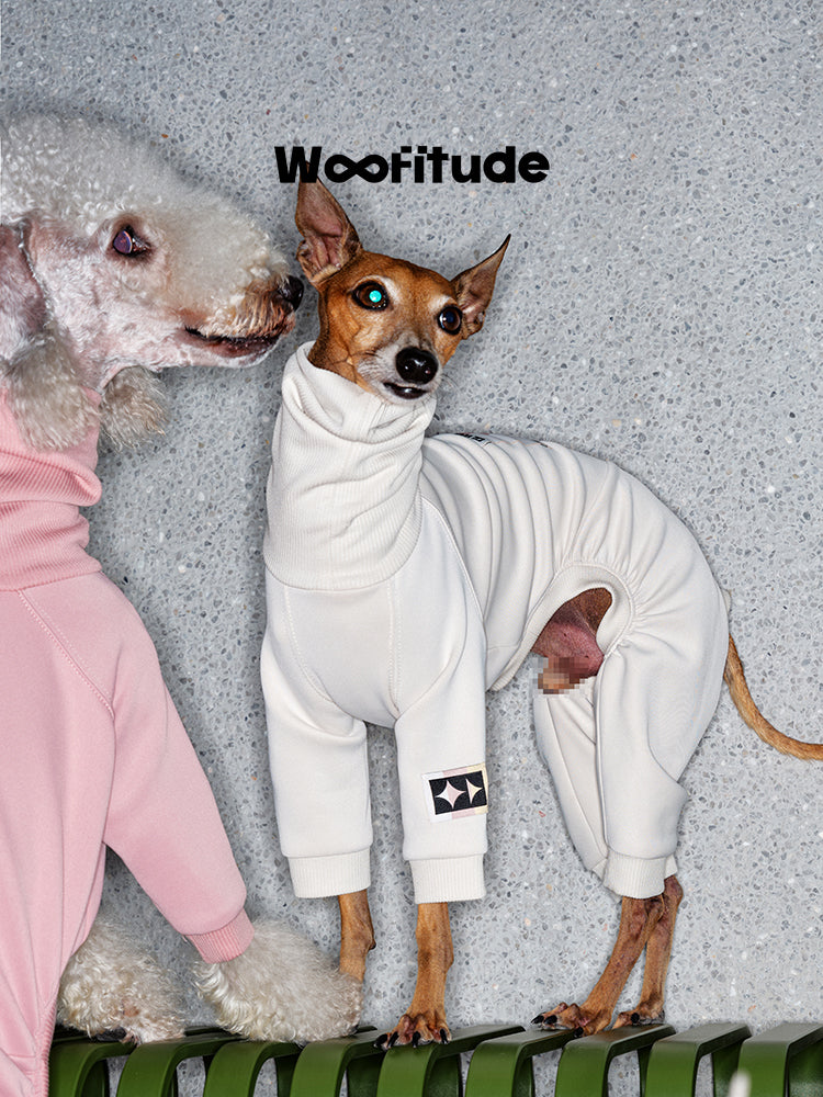 White dog suit worn by a slim dog next to another dog, showing full body coverage