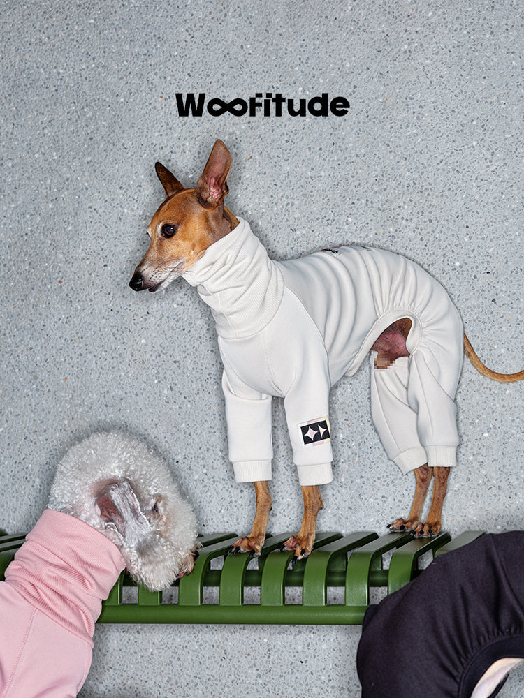 White dog suit with slim fit design shown on a standing dog in profile view