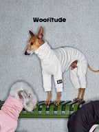 White dog suit with slim fit design shown on a standing dog in profile view