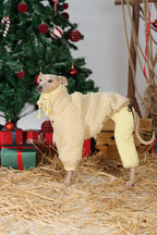Full body view of a winter dog jacket showing balanced proportions and warm coverage in festive setting