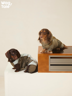 Two dachshunds wearing Snowy Forest 2.0 winter dog suits; four-leg coverage and fitted body panels shown for long-bodied dogs in a warm, lightweight insulated outfit.