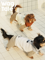 Two dachshunds wearing winter four-leg dog suits on a tiled floor, showing a warm color-block look with a high neck and relaxed fit suitable for everyday indoor wear.