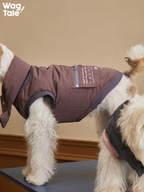 Side view of a dog wearing a winter padded dog vest, showing insulated structure, back zipper design, and clean fit for cold-weather outings.