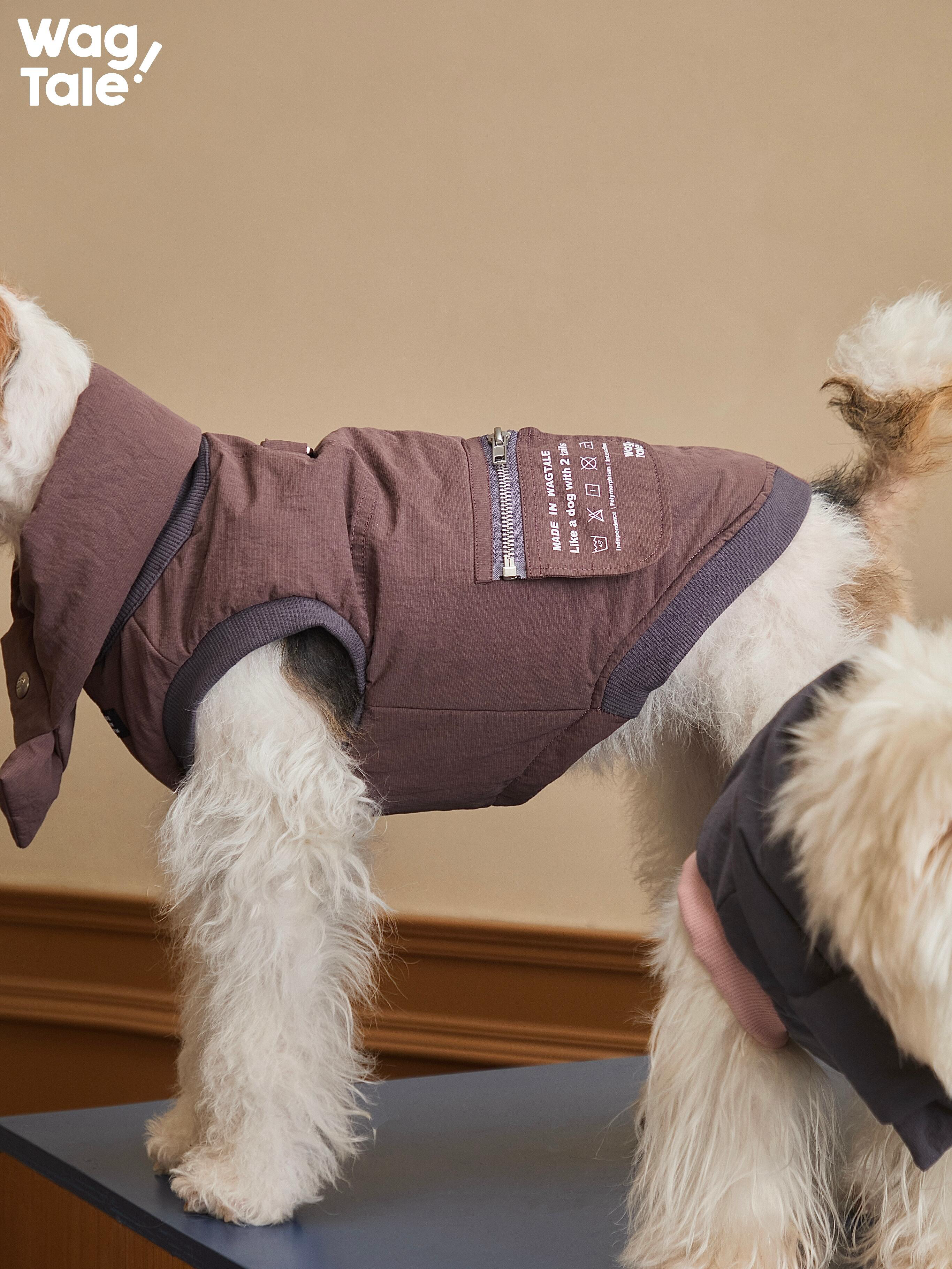 Side view of a dog wearing a winter padded dog vest, showing insulated structure, back zipper design, and clean fit for cold-weather outings.