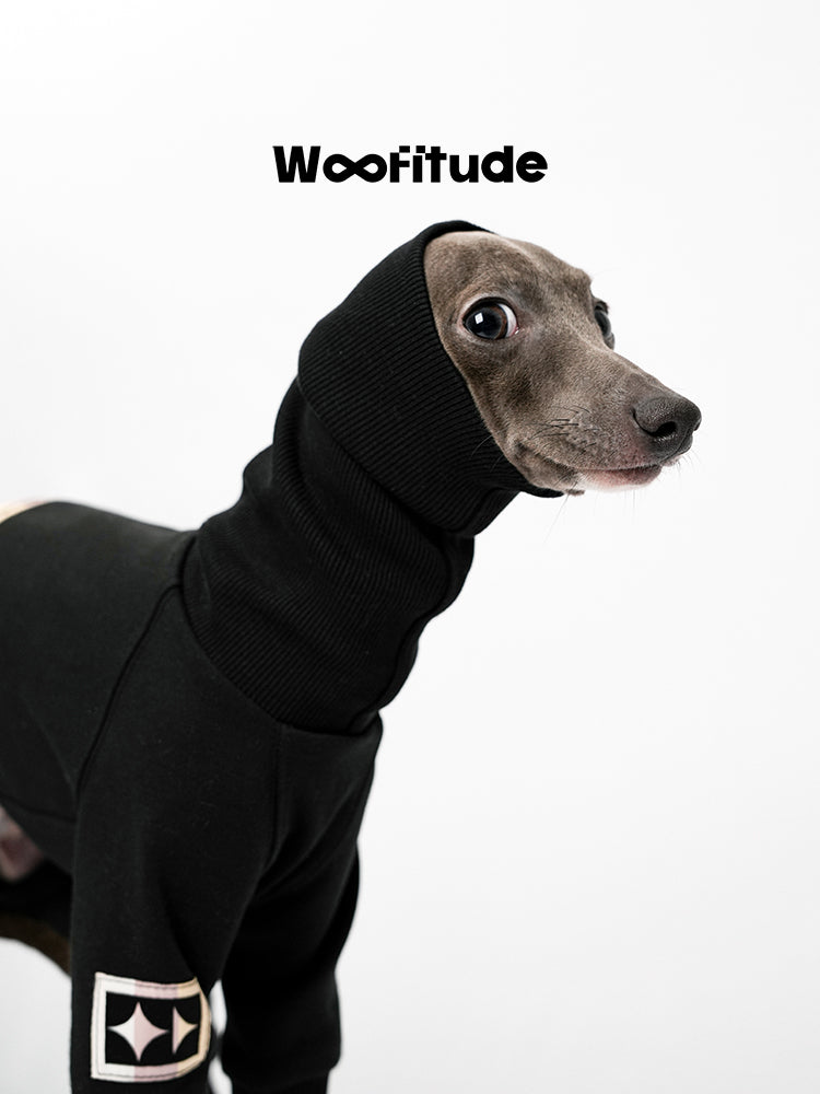 Black dog suit with high ribbed neck worn by Italian Greyhound, showing snug fit and stretch fabric detail.