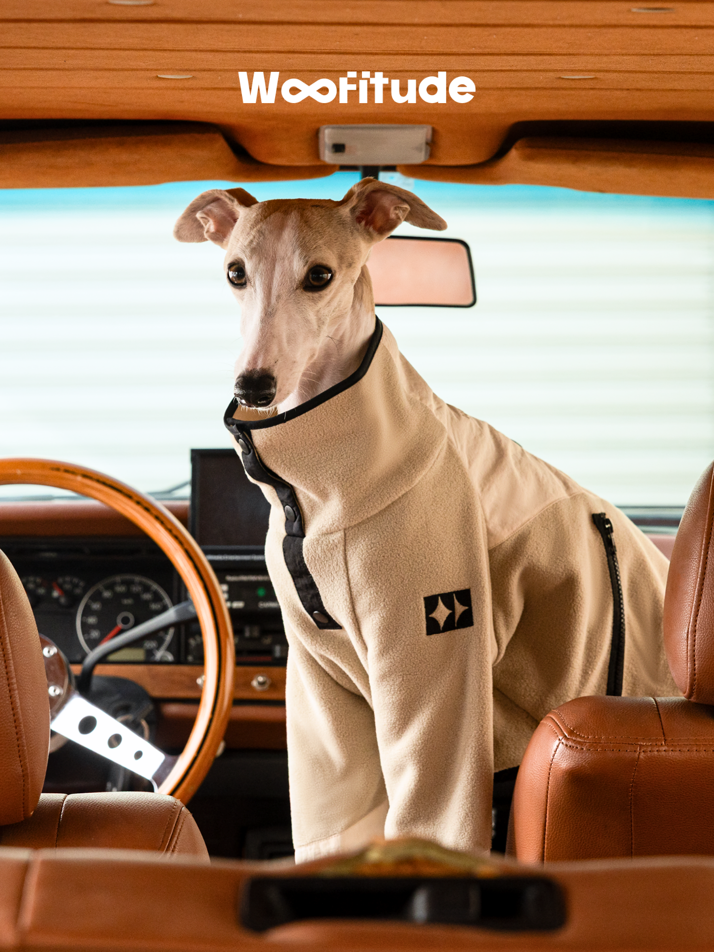 Bedlington Terrier wearing a burgundy fleece dog jumper inside a car, showing comfortable and casual styling.