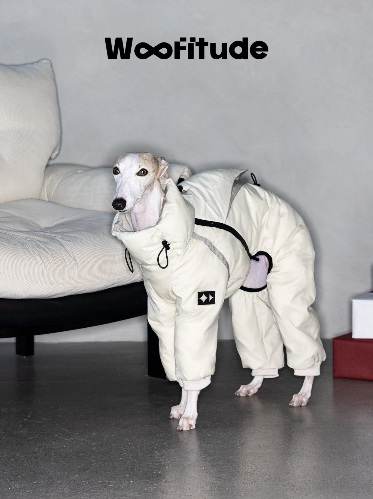 Italian Greyhound standing indoors wearing a cream winter dog down suit showing full-body fit and flexible leg coverage.