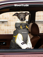 Close-up of Italian Greyhound wearing Woofitude dog winter vest featuring a custom metal logo and yellow drawcord details, shot through car window.