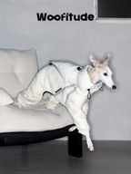 Lifestyle image of Italian Greyhound wearing a full-coverage dog down suit indoors, showcasing the suit’s lightweight insulation, clean design, and everyday winter comfort.
