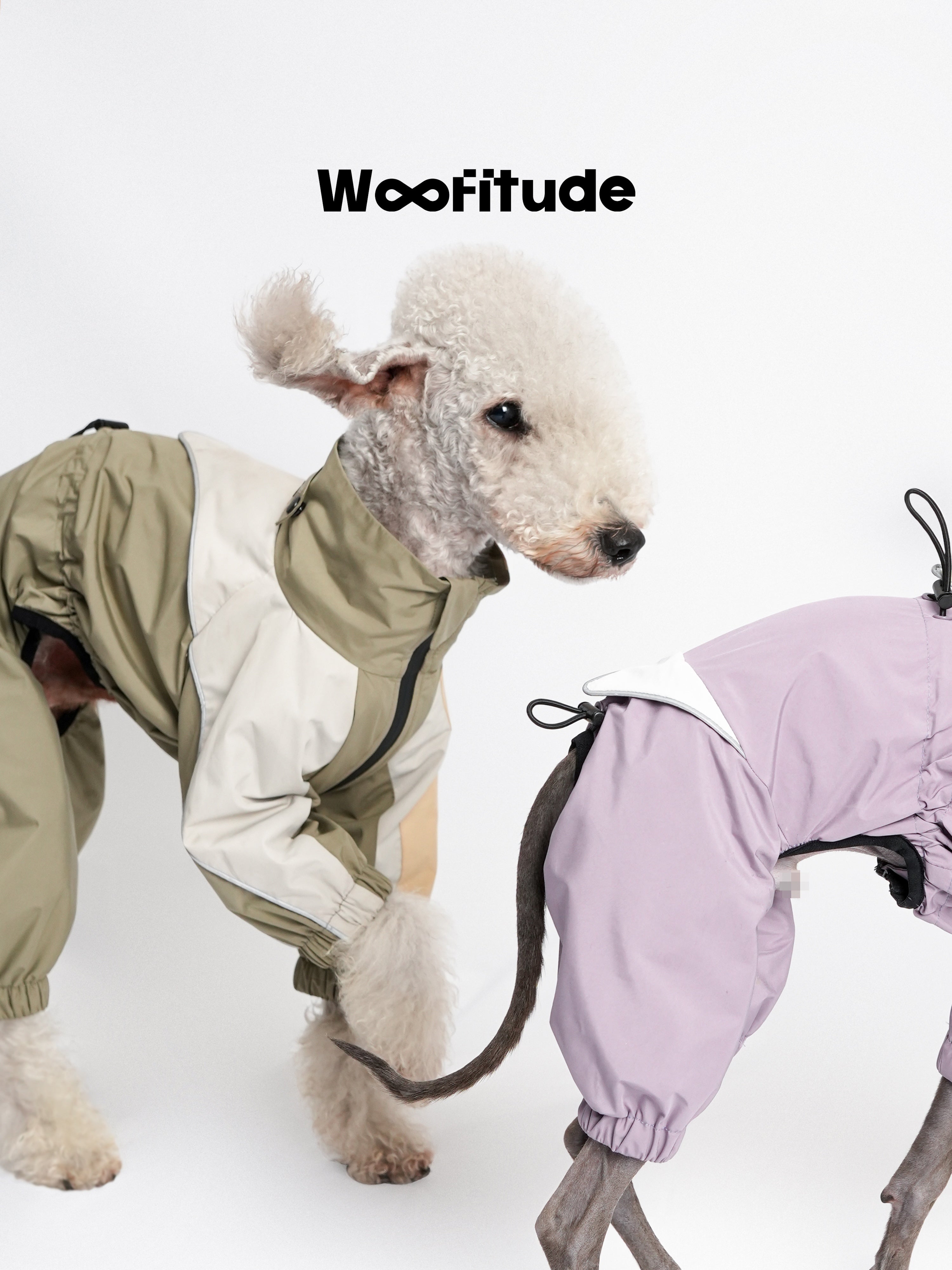 Side and back view of dogs wearing technical jackets, focusing on adjustable drawcords and structured fit.