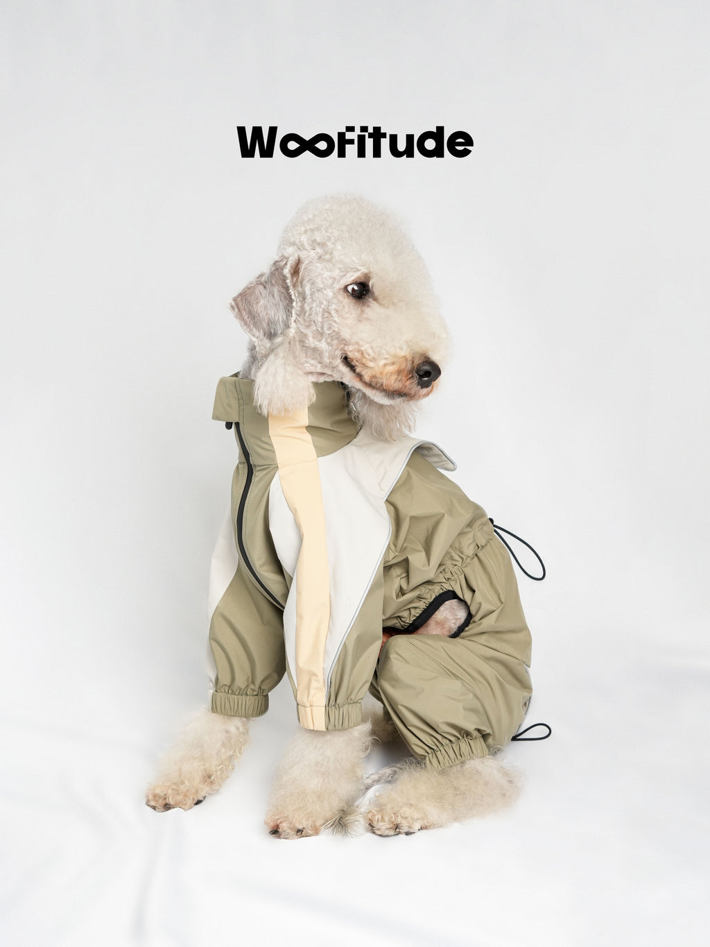 Dog sitting calmly in a lightweight waterproof jacket, highlighting clean lines and minimal technical design.