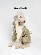 Dog sitting calmly in a lightweight waterproof jacket, highlighting clean lines and minimal technical design.