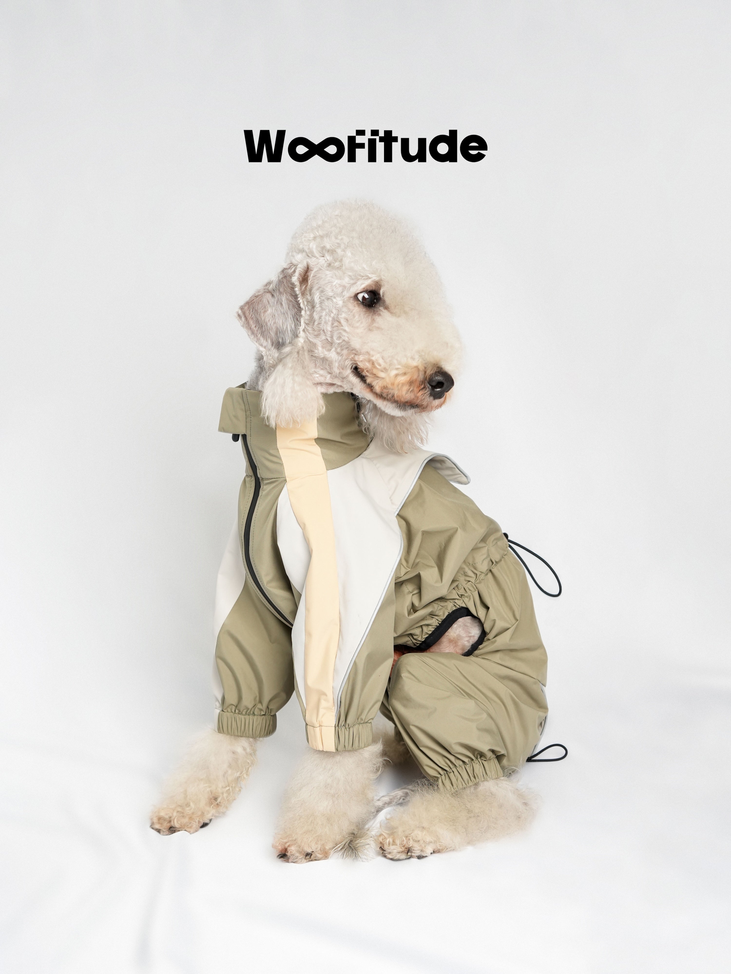 Dog sitting calmly in a lightweight waterproof jacket, highlighting clean lines and minimal technical design.