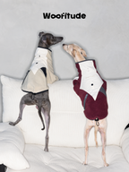 Back view of Italian Greyhounds in fleece dog jumpers showing adjustable drawcord details and relaxed fit.