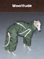 Rear view of a green full-body dog down suit worn by an Italian Greyhound, showing the padded hind-leg coverage and flexible tail opening for comfort and mobility.