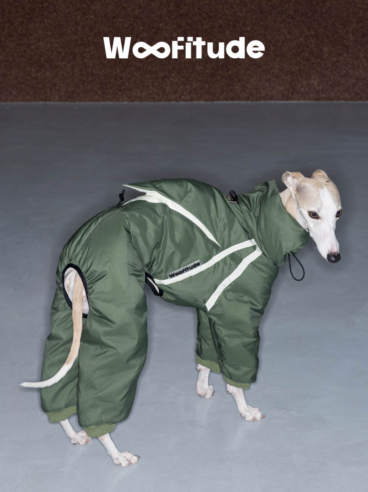 Rear view of a green full-body dog down suit worn by an Italian Greyhound, showing the padded hind-leg coverage and flexible tail opening for comfort and mobility.