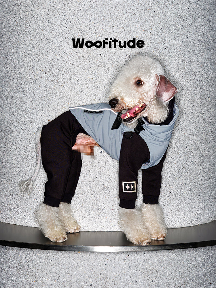 Full-body winter dog suit in grey with reflective details and adjustable straps, designed for outdoor walks and cold-weather comfort.