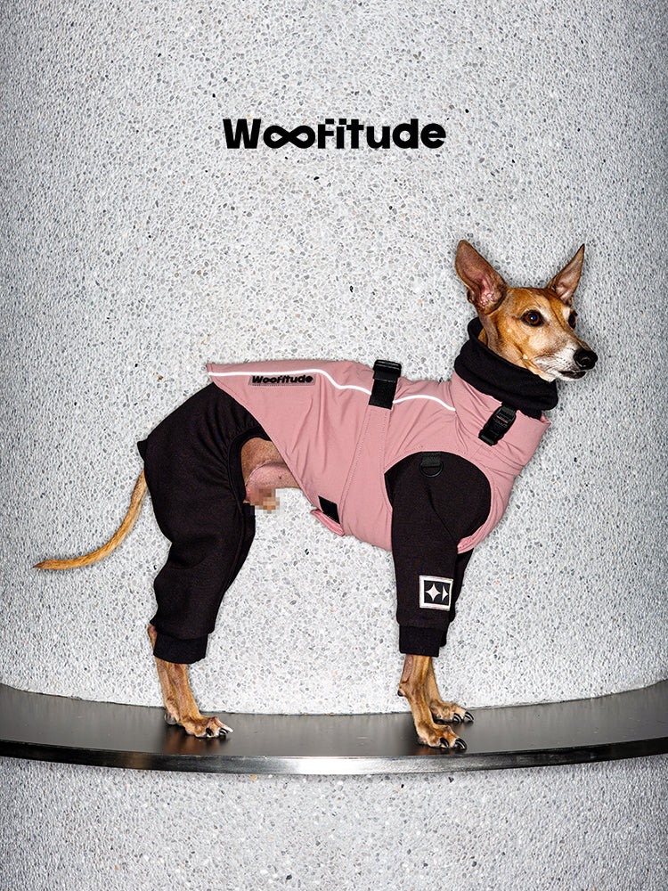 Technical full-body dog suit in pink, designed for cold weather with flexible leg construction and an adjustable buckle system.