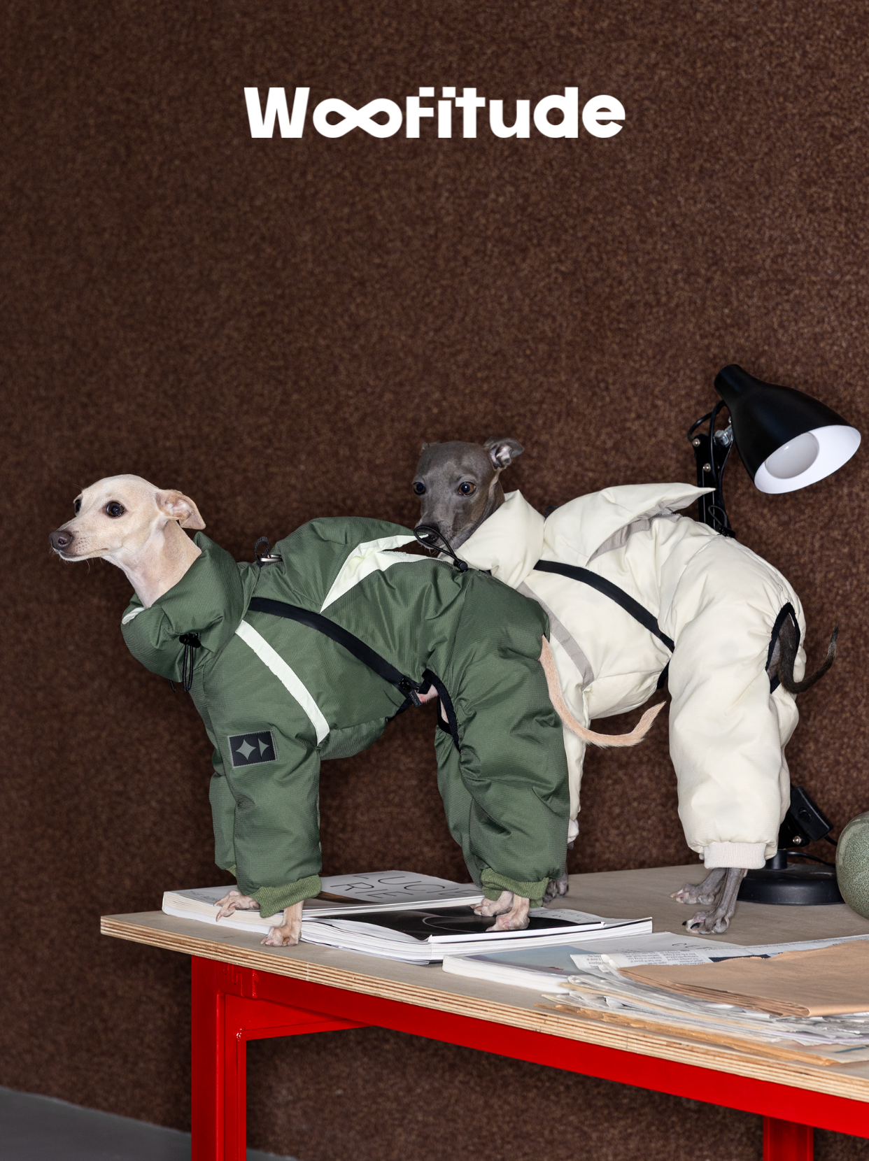 Italian Greyhound wearing a full-coverage green dog down suit made with lightweight Nylon 66 fabric, standing on a table indoors. The suit features padded structure and clean winter silhouette.