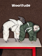 Back and side view of Italian Greyhound wearing a green winter dog suit with elastic inner cuffs and streamlined padded design, highlighting the suit’s full-coverage fit.