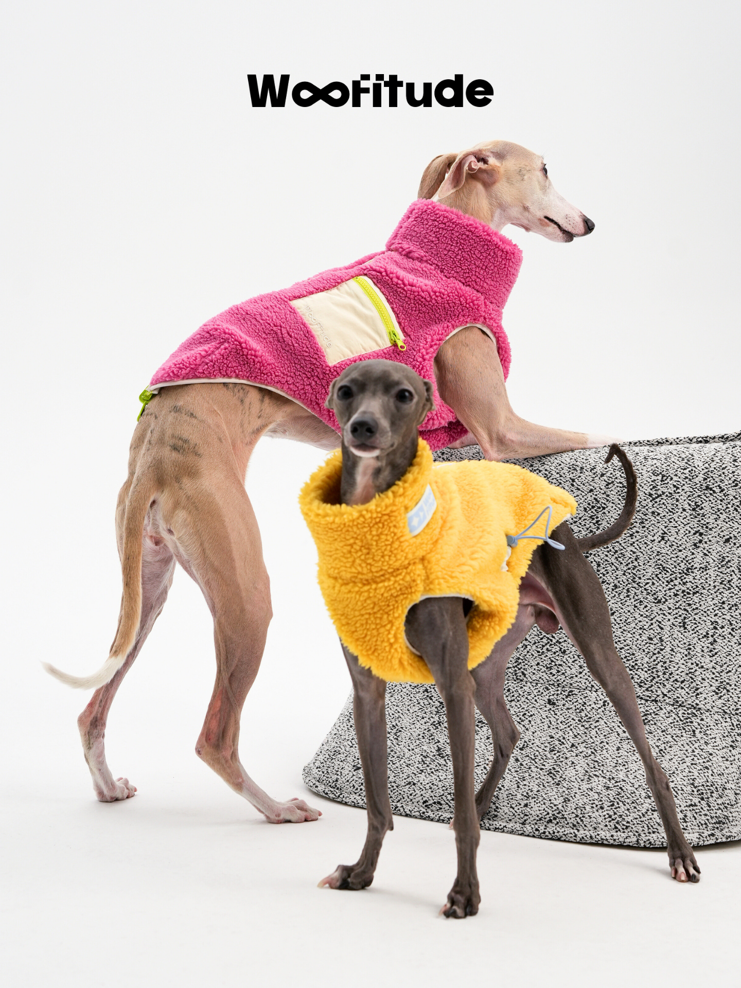 Two sighthounds wearing pink and yellow lamb fleece dog vests, showing soft texture and relaxed everyday fit.