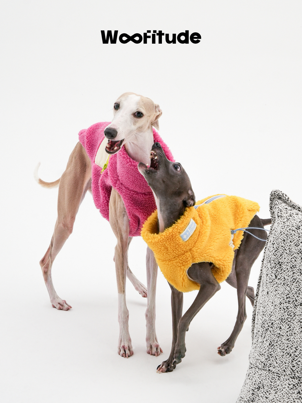 Two sighthounds interacting while wearing cloud-like lamb fleece dog vests, highlighting flexible movement and comfort.