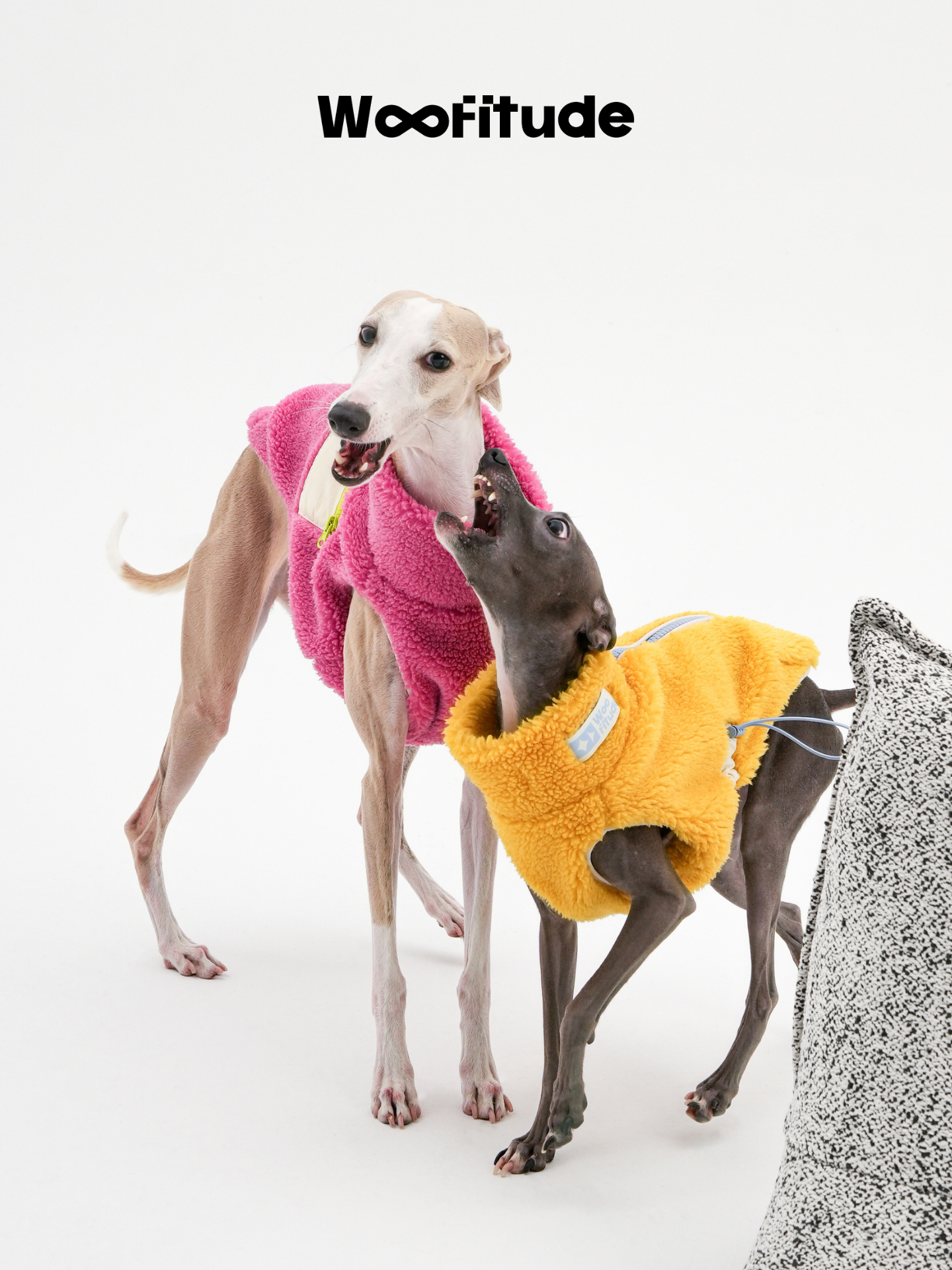 Two sighthounds interacting while wearing cloud-like lamb fleece dog vests, highlighting flexible movement and comfort.