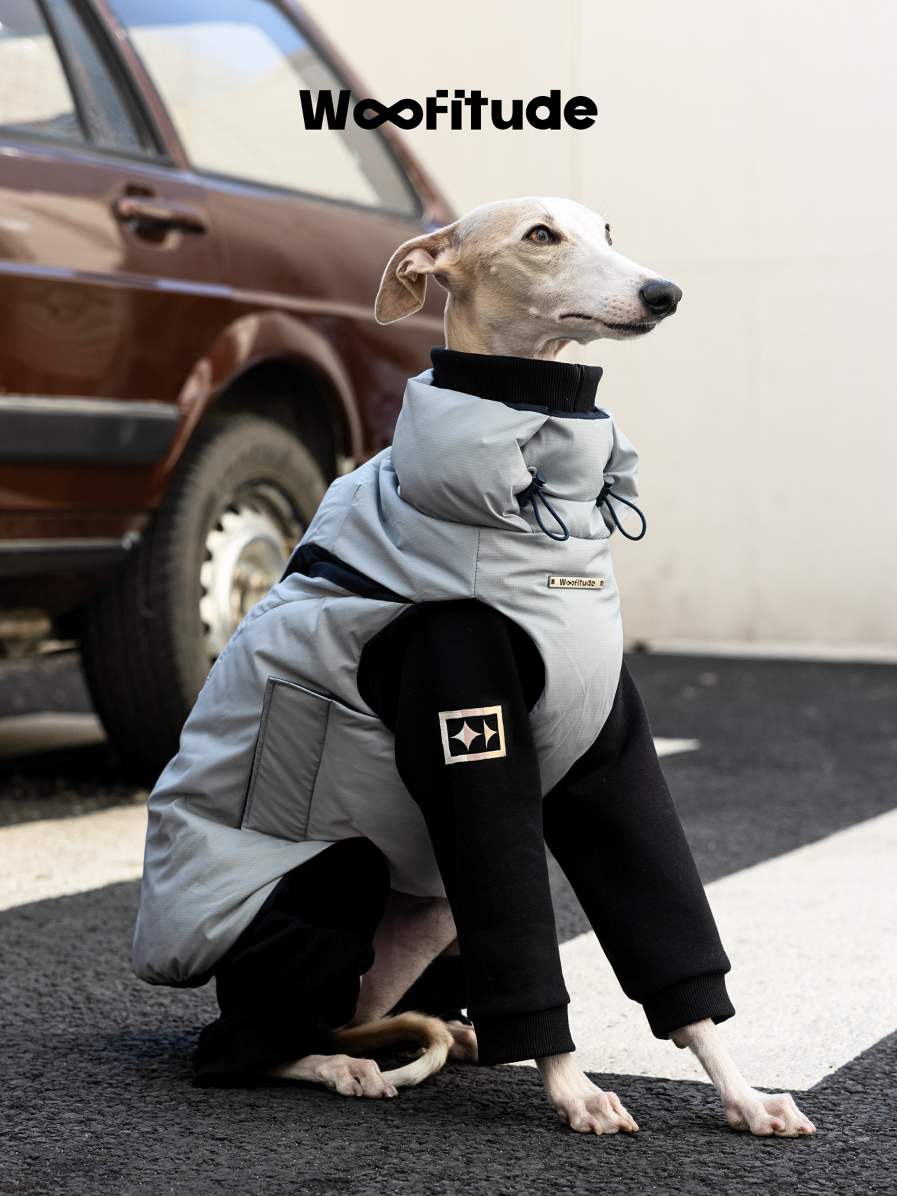 Light grey Woofitude dog down vest for winter warmth, modeled by an Italian Greyhound sitting confidently outdoors. Lightweight, windproof, and adjustable.