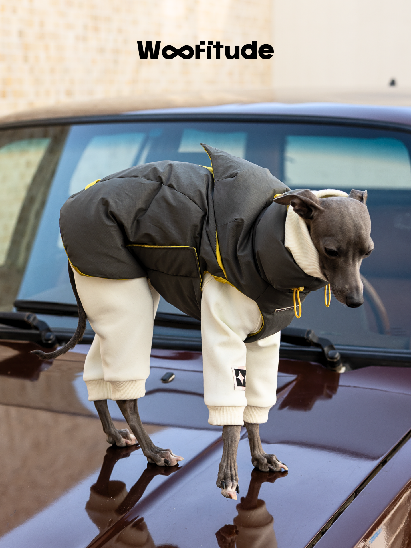 Woofitude designer dog down vest in grey with yellow lining and custom metal logo details. High-end pet fashion combining warmth, comfort, and minimalist aesthetics.