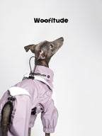 Back view of an Italian Greyhound wearing a lightweight waterproof dog jacket, highlighting the collar structure, brand patch, and rear leash attachment detail.