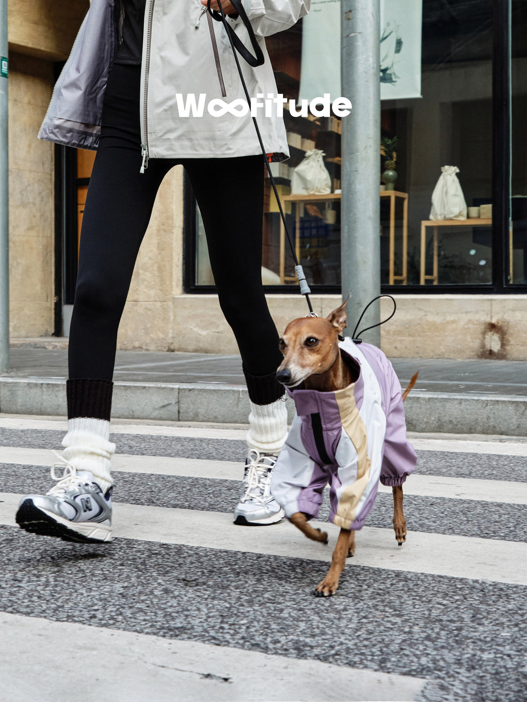 Small dog moving freely in a lightweight dog jacket, showing flexibility and comfort during city walks.