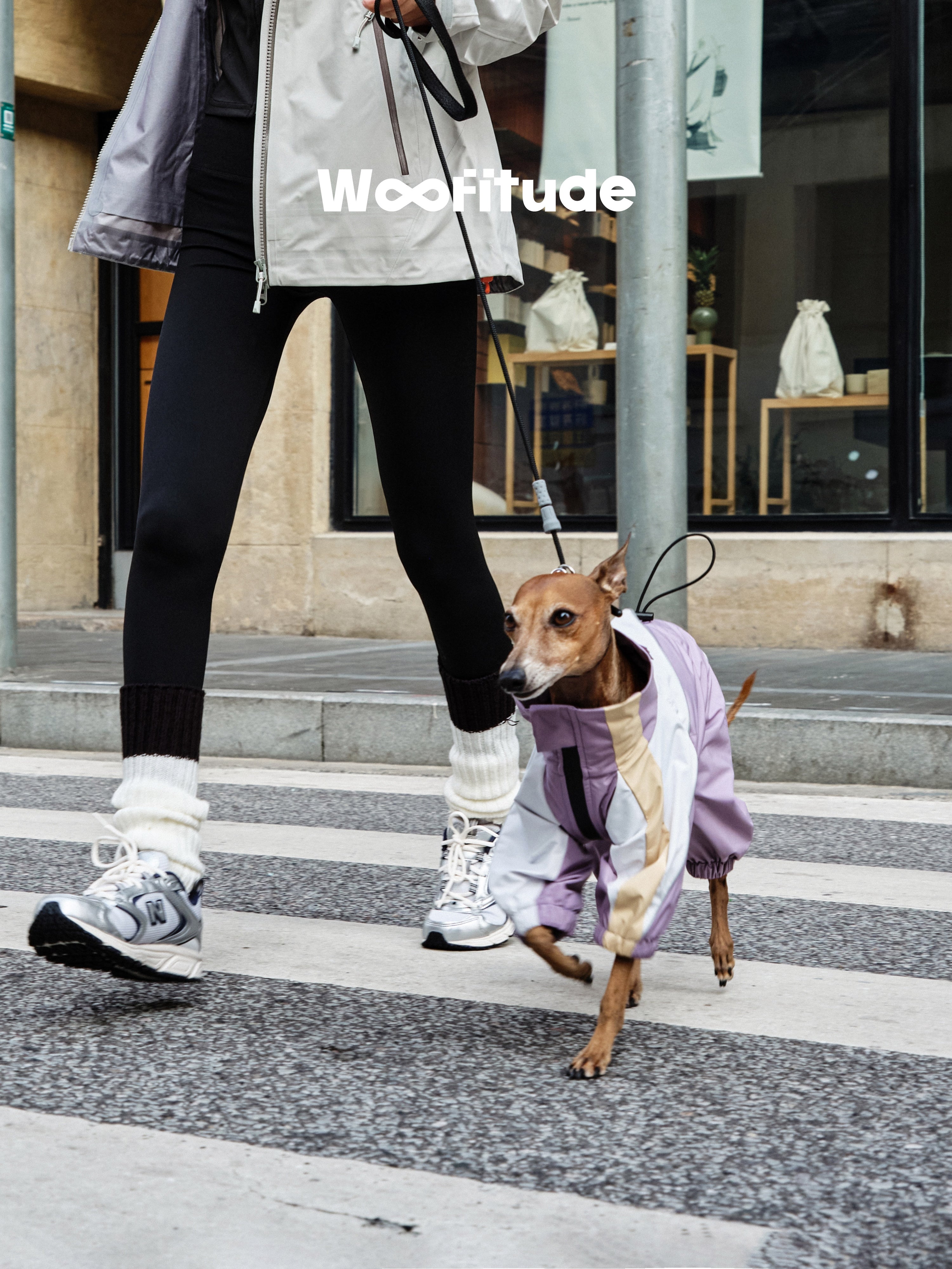 Small dog moving freely in a lightweight dog jacket, showing flexibility and comfort during city walks.