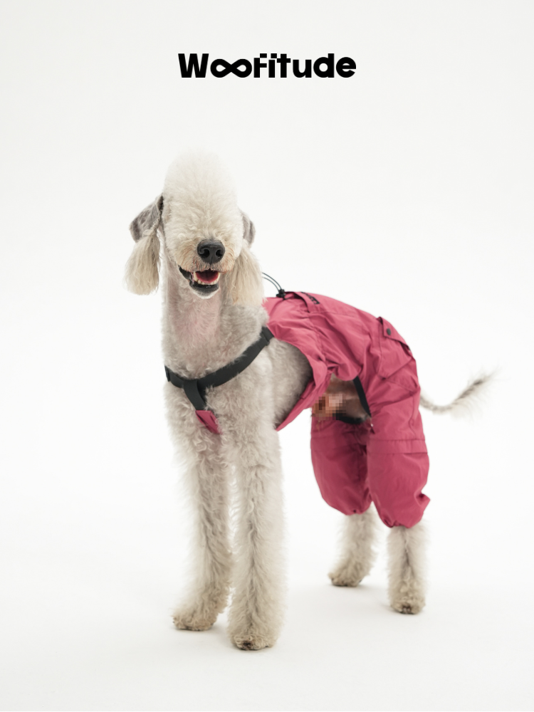 Bedlington Terrier wearing a pink full-body dog overall, highlighting four-leg design and breathable nylon fabric