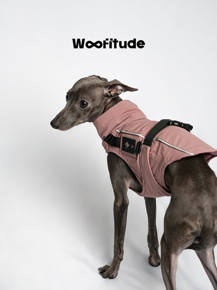 Back and side view of a pink full-body dog suit, highlighting adjustable straps, reflective piping, and a streamlined winter design.