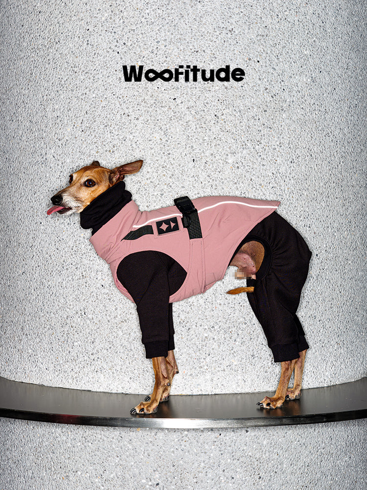 Pink winter dog suit with full-body and four-leg coverage, combining warmth, flexibility, and a minimalist sport-inspired design.