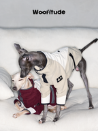 Two sighthounds interacting on a sofa while wearing soft polar fleece dog jumpers for everyday comfort.