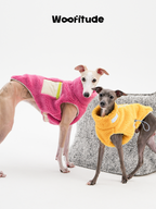 Italian Greyhound and Italian Greyhound puppy wearing soft lamb fleece dog vests with lightweight, cozy design.