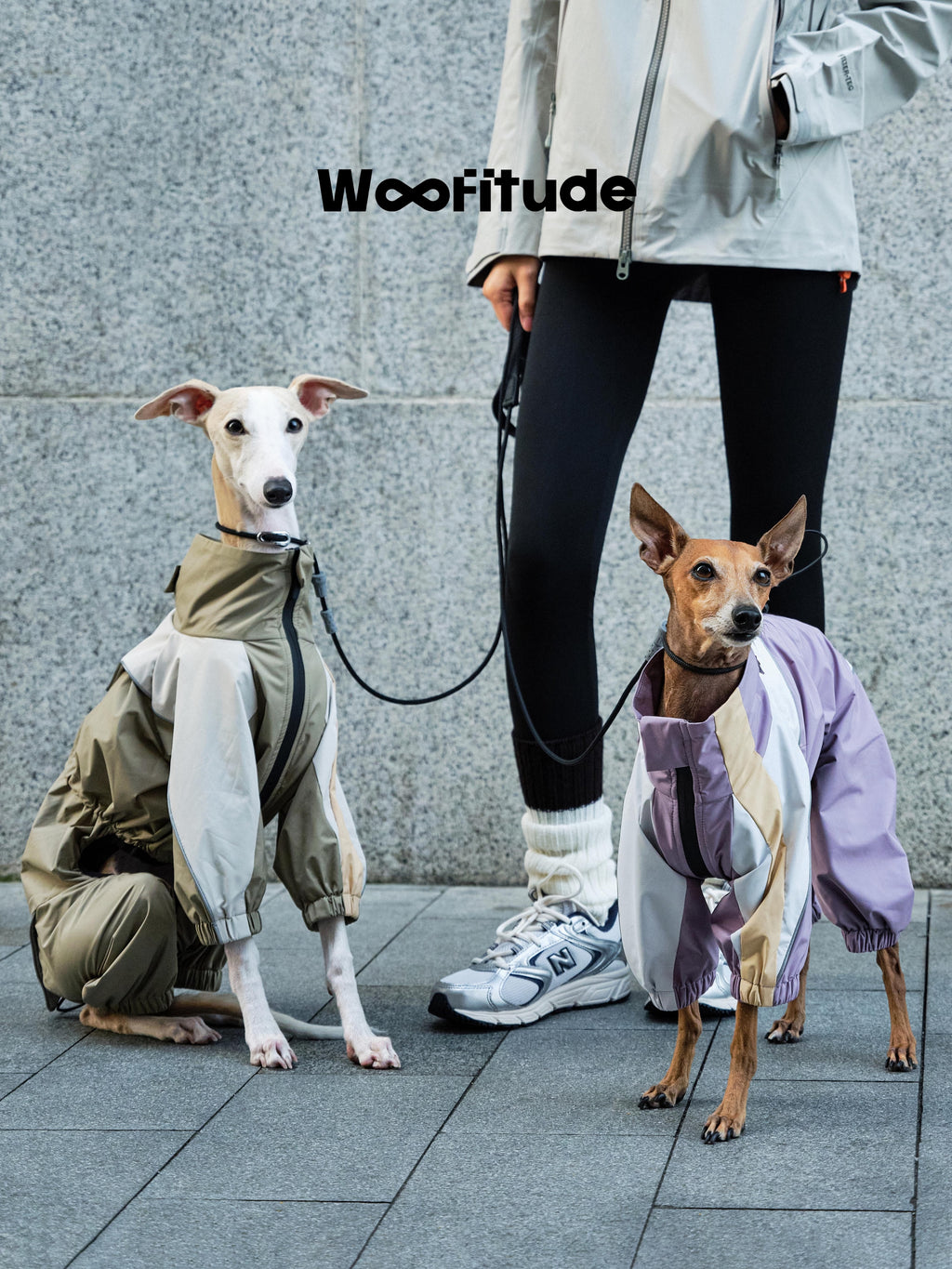 Dogs in different sizes wearing technical dog jackets, showing fit and proportion for urban daily walks.