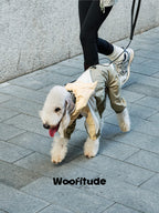 Dog wearing a waterproof lightweight jacket while walking outdoors, featuring breathable fabric and adjustable fit.