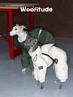 Two Italian Greyhounds wearing cream and green winter dog down suits with full-body coverage. The padded design provides warmth while allowing natural movement indoors.