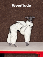 Italian Greyhound modeling a winter dog down suit on a table, highlighting the full-coverage padded design made with durable Nylon 66 fabric for outdoor and indoor use.