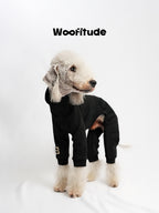 Dog standing in a black winter dog suit with full-body design, showing clean silhouette, dual seam cutting, and woven brand label.