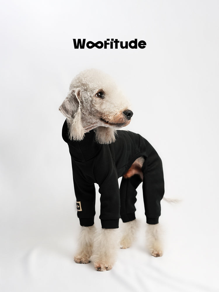 Dog standing in a black winter dog suit with full-body design, showing clean silhouette, dual seam cutting, and woven brand label.