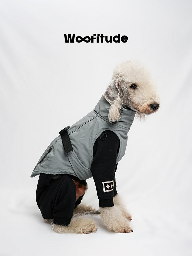 Grey winter dog suit with full-body coverage and four-leg design, shown on a seated dog with a clean, technical outdoor style.