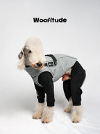 Grey winter full-body dog suit with four-leg coverage, showing a lightweight insulated design suitable for active dogs in cold conditions.