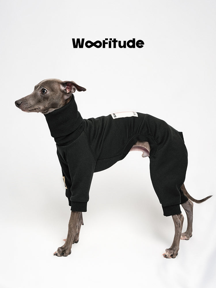 Italian Greyhound wearing a black winter full-body dog suit with light stretch fabric, showing slim fit design and ribbed cuffs by Woofitude.