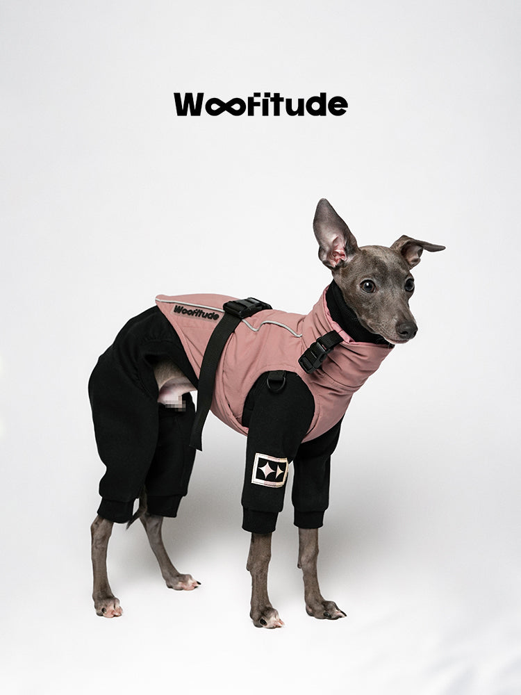 Pink winter full-body dog suit with four-leg design, offering warmth, comfort, and a clean silhouette for everyday outdoor wear.