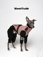 Pink winter full-body dog suit with four-leg design, offering warmth, comfort, and a clean silhouette for everyday outdoor wear.