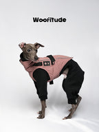 Pink winter full-body dog suit worn by an Italian Greyhound, featuring four-leg coverage, adjustable buckle design, and a minimalist technical look.