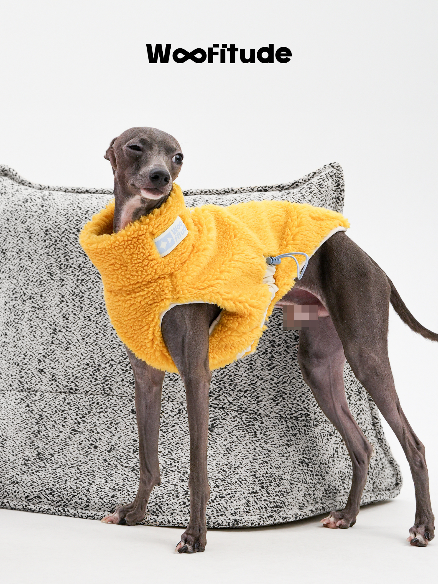 Bedlington Terrier walking in a yellow lamb fleece dog vest, showing ease of movement and breathable structure.